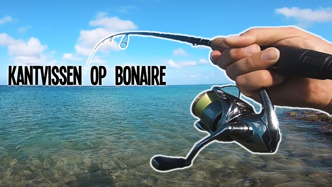 Carolina Rig In De Tropen?! - VisTD Terug Naar Bonaire [3/5]