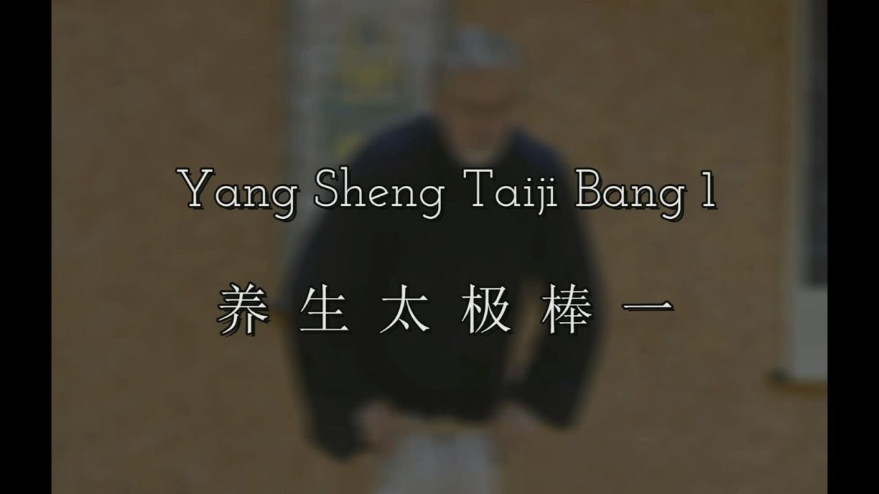 Yangsheng Taiji Bang 1_François Hainry (Disciple direct de YOU Xuan De) ABTCC