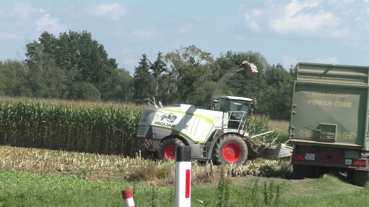 Pur  Mais häckseln meine ersten Aufnahmen von Region Bad Blumau 1