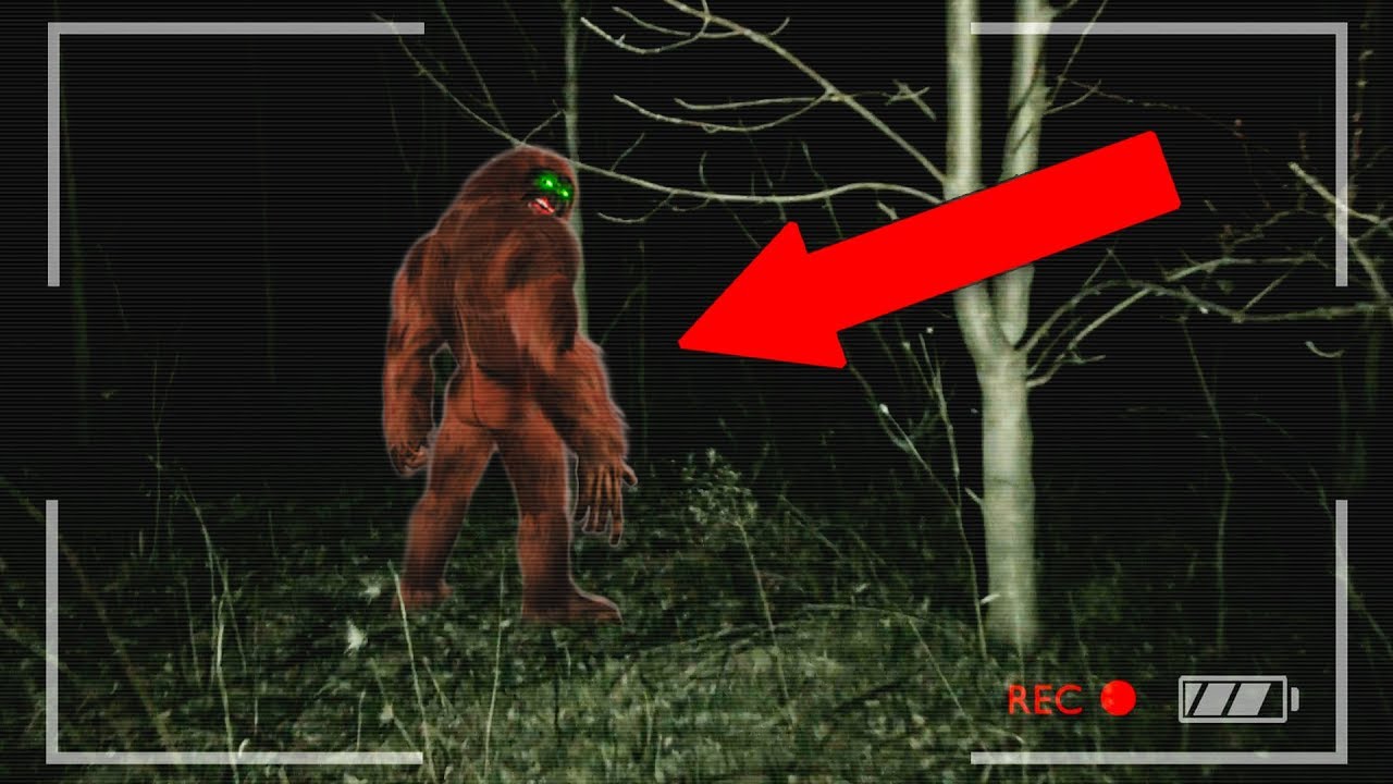FINDING BIGFOOT!!