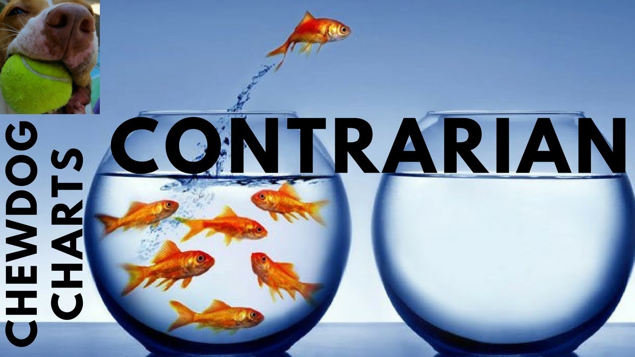 Stock Market: Stock Market Contrarian!