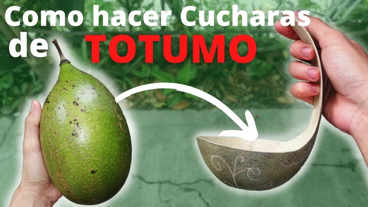 Como hacer cucharas de TOTUMO