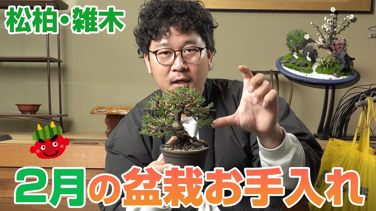 【2月版】松柏・雑木のお手入れ