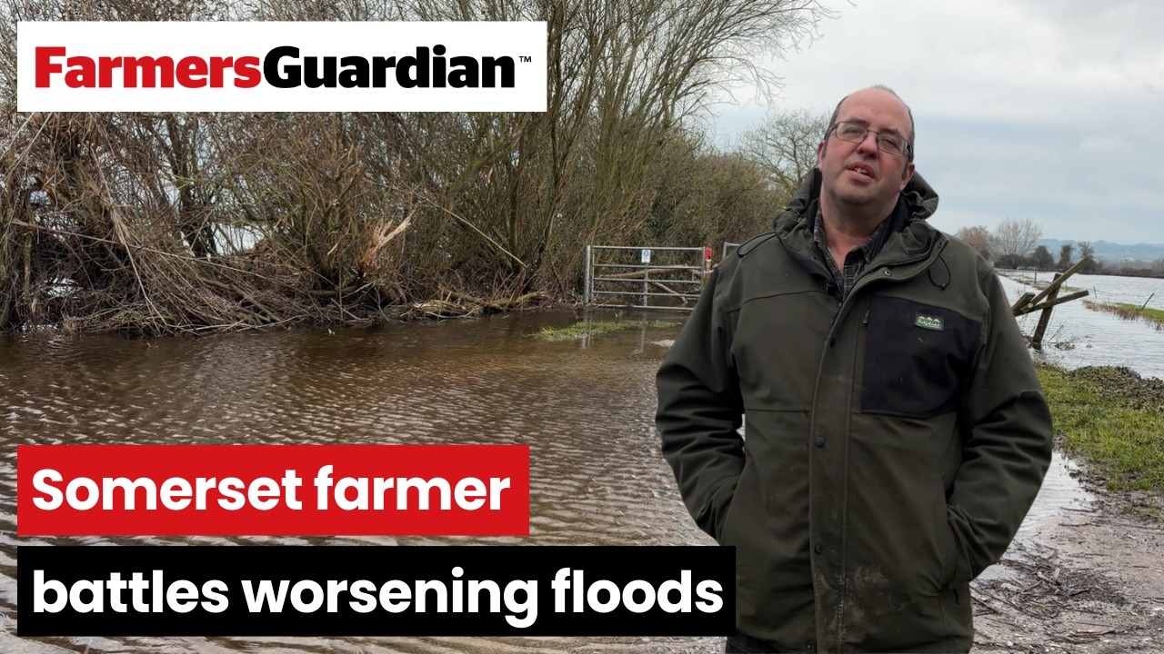 Somerset Farmer battles worsening floods