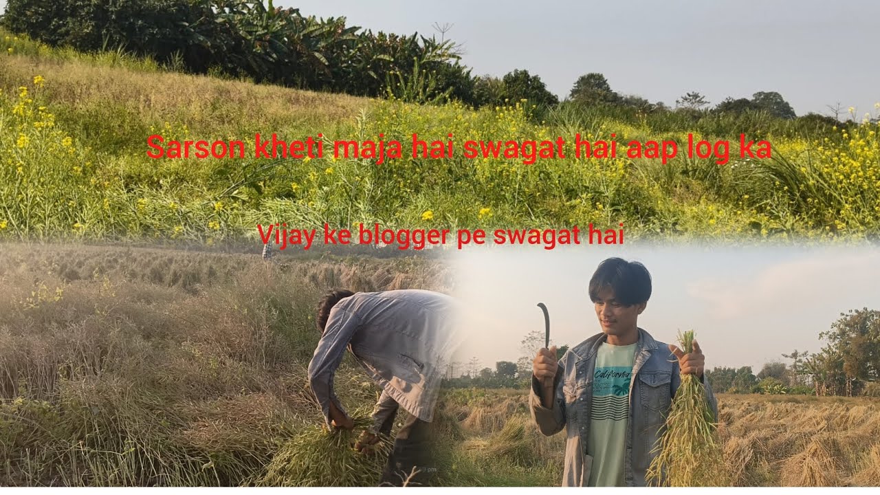 Sarson kheti Mera Aaj Mera aaj ka din aise Gujar Gaya Vijay ke blogger