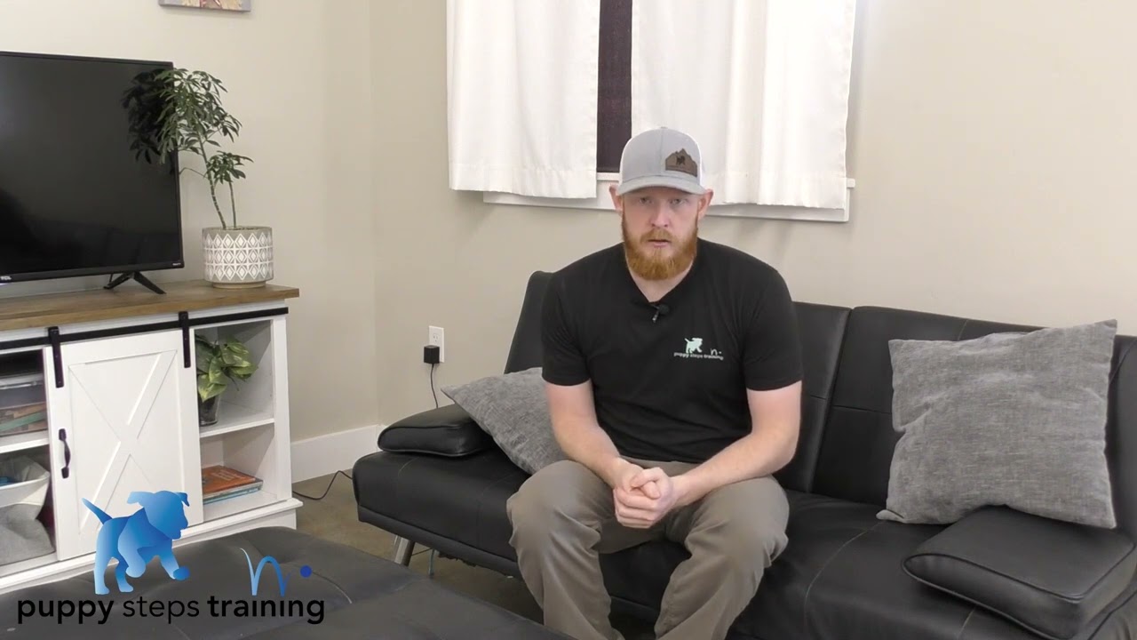 Wally's Training Demonstration