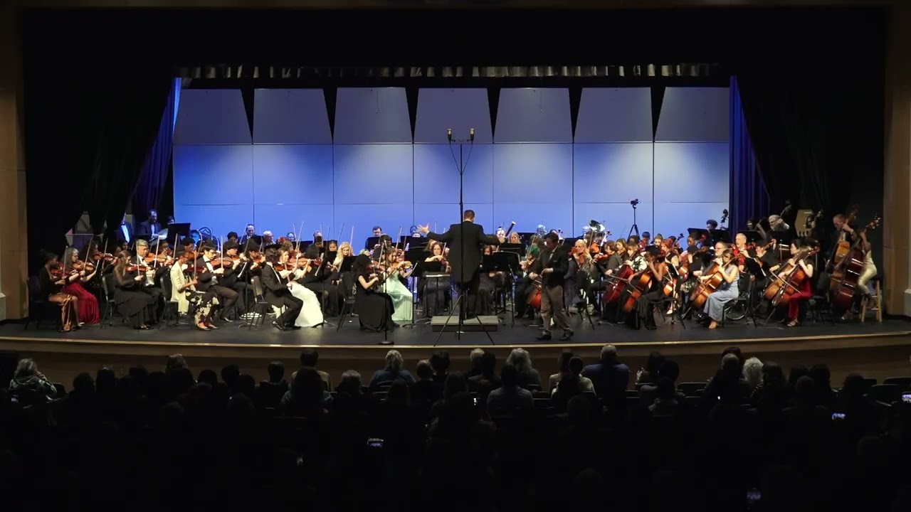 STRAUSS Sr   Radetzky March Op  228