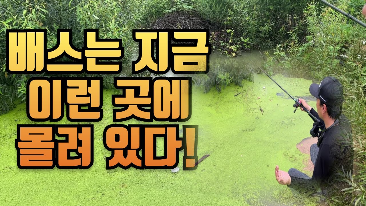 배스낚시