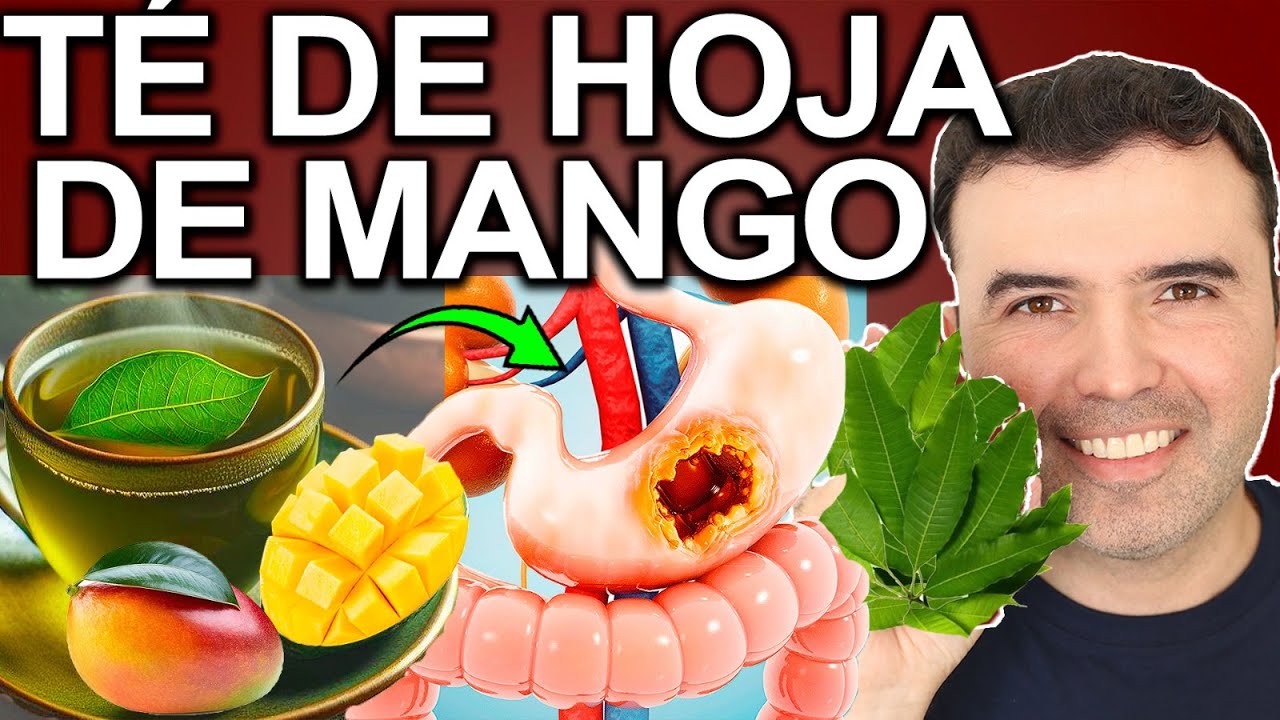 TE DE HOJA DE MANGO EN AYUNAS 2025 - Para Que Sirve El Te De Hoja De Manga Y Contraindicaciones