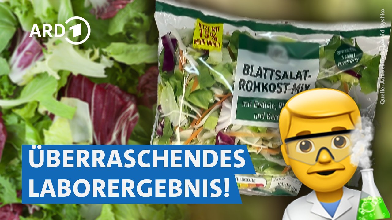 Keim-Schleuder oder gesund? Der große Tütensalat-Check! | Markt WDR