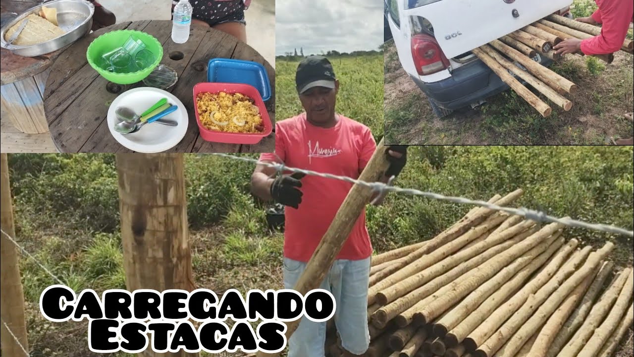 Domingão..top fizemos frete com o gol G4, e tomamos café com nossos escritos.