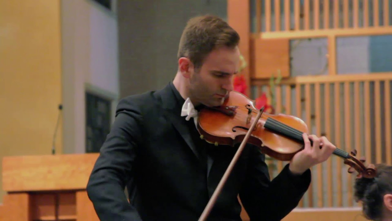 Gypsy Airs - Stefan Milenkovich