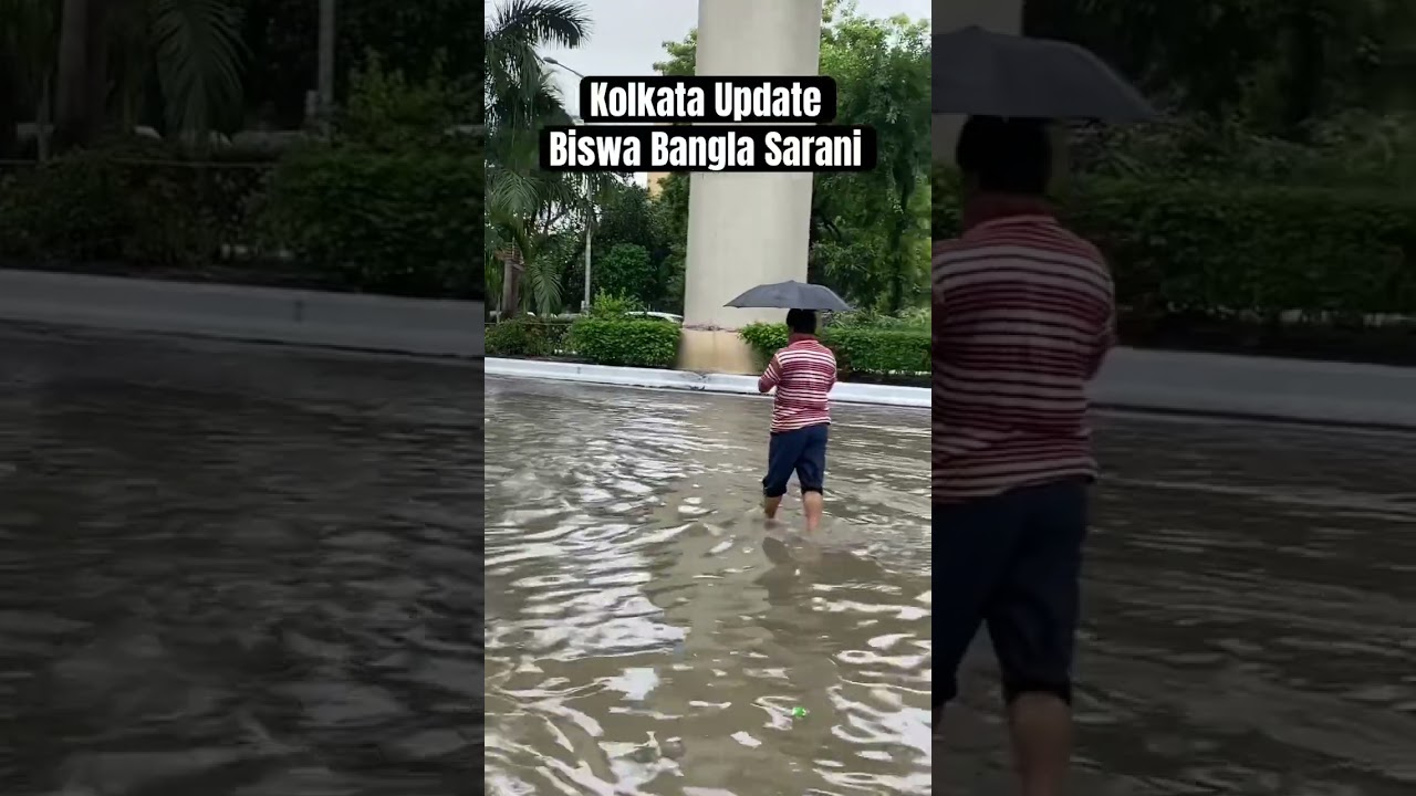 Kolkata heavy rain | Kolkata News Update | Saltlake Newtown | #kolkatanews #kolkata #kolkatarain