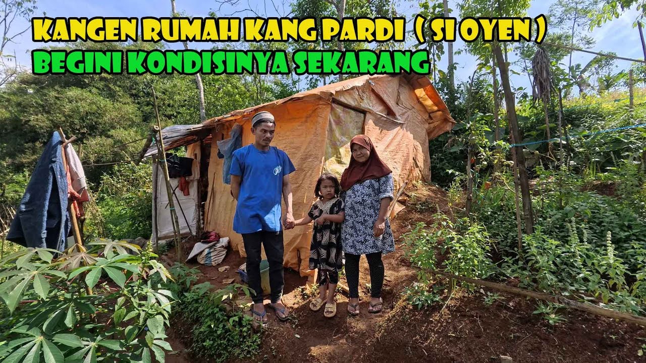 RUNGKAD..Kebun Kang Pardi  GAGAL PANEN..Terbengkalai Begitu Saja..Mengapa...???