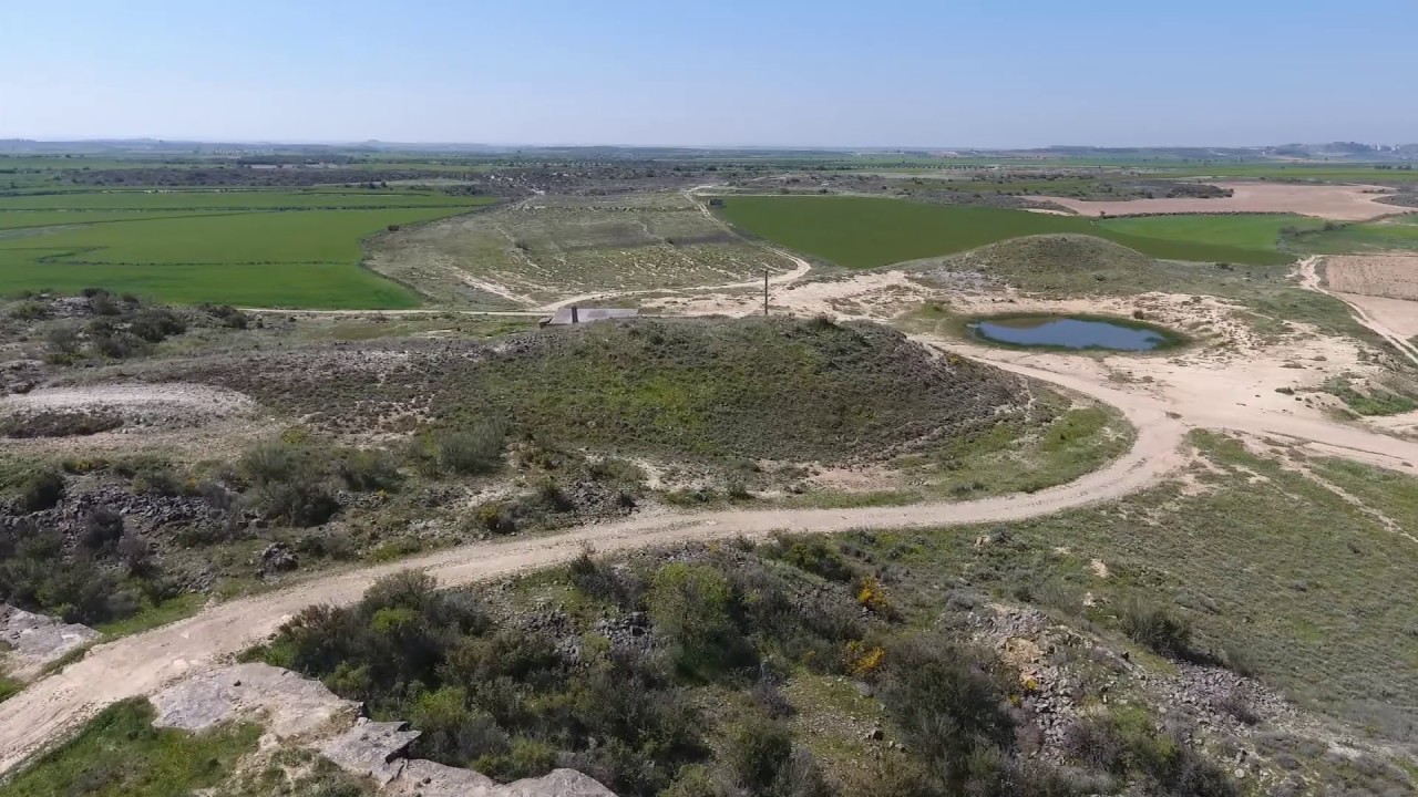 (Naike Abad) Fin de semana de anillamiento cientifico de aves drone