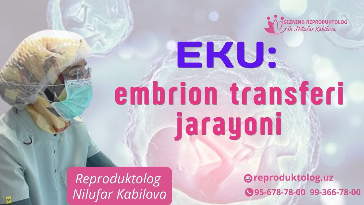 EKU: embrion transferi, Reproduktolog Nilufar KABILOVA, 95-678-78-00 #eko #eku #эко #эку #ivf