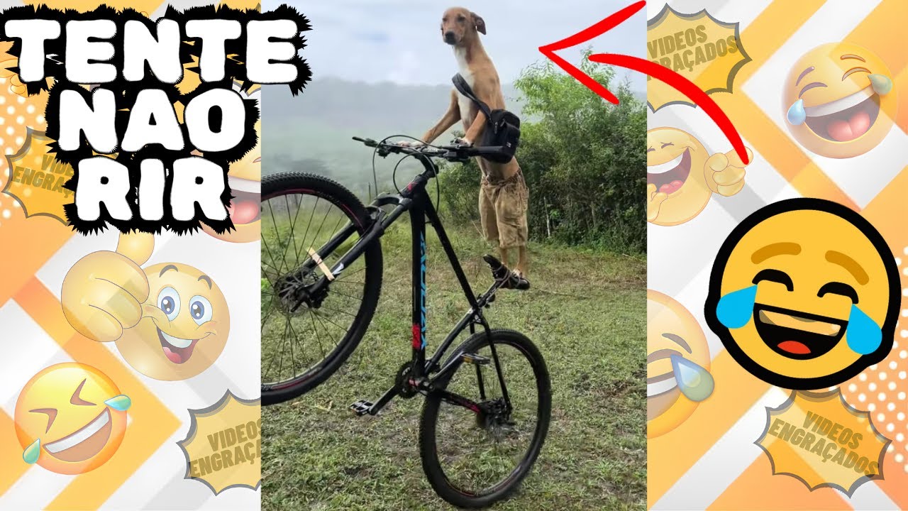 Melhores memes e videos engraçados 2025 - Tente não rir #03