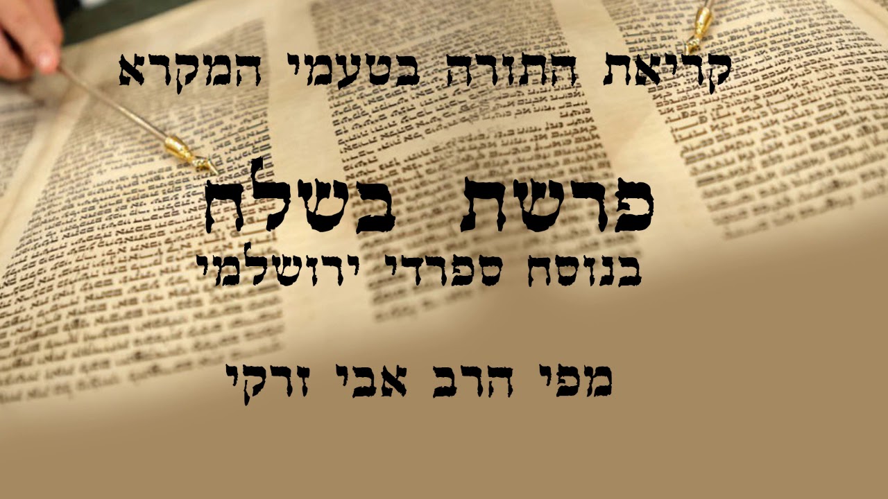 הרב אבי זרקי- קריאת התורה פרשת 