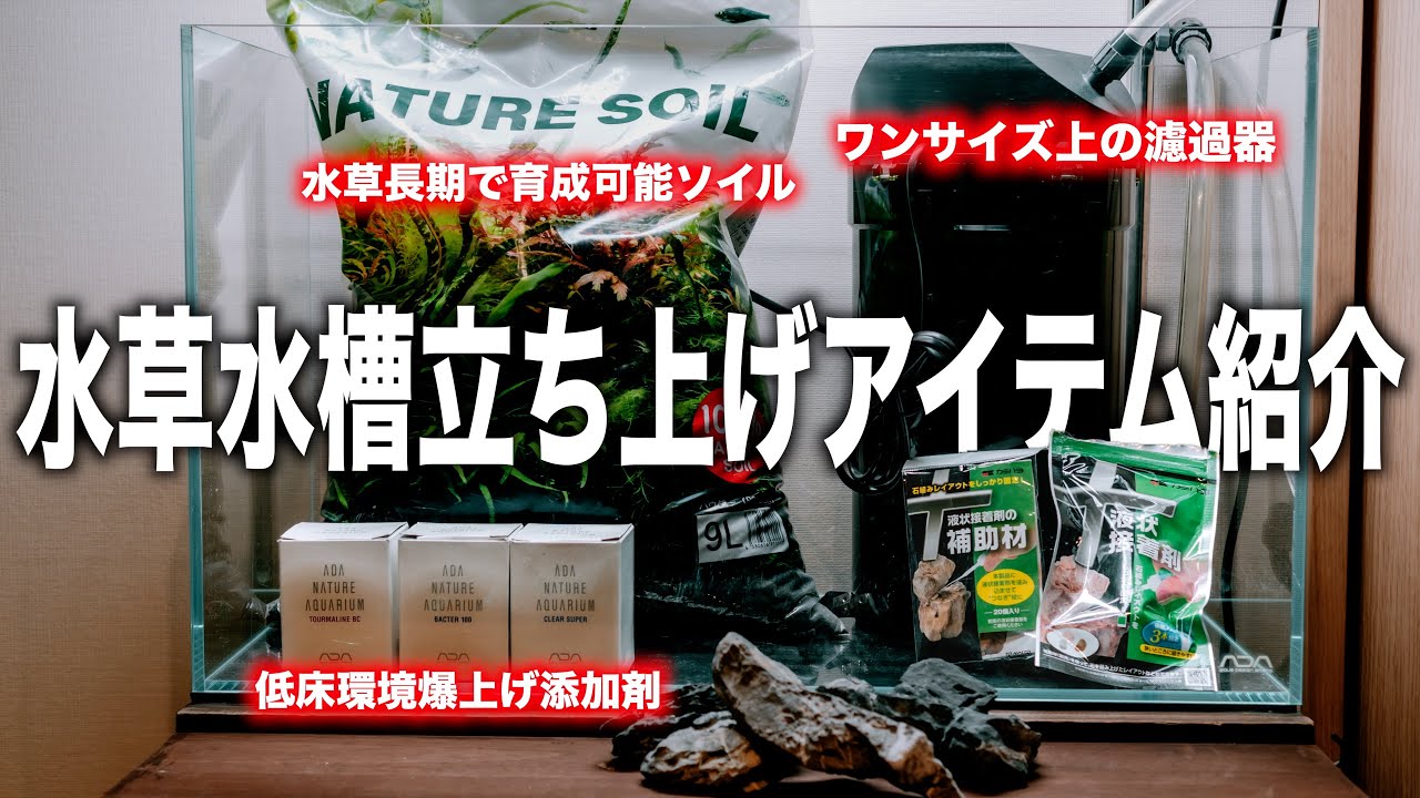 【60cm水槽】シンプルかつ水草を長期で楽しめる立ち上げアイテム紹介#ada #ada #aquarium #ネイチャーアクアリウム #熱帯魚 #ada #アクアリウム