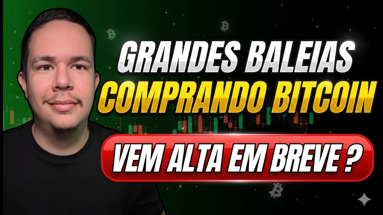 ATENÇÃO OS GRANDES INVESTIDORES ESTÃO ACUMULANDO BITCOIN - VEM ALTA EM BREVE ?