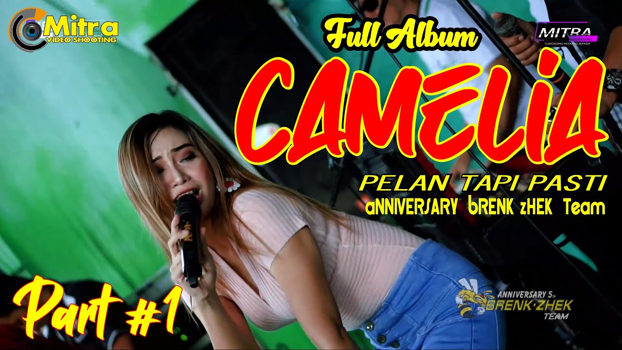 Full Camelia Pelan tapi pasti Anniversary BRENK-ZHEK TEAM- PART#1