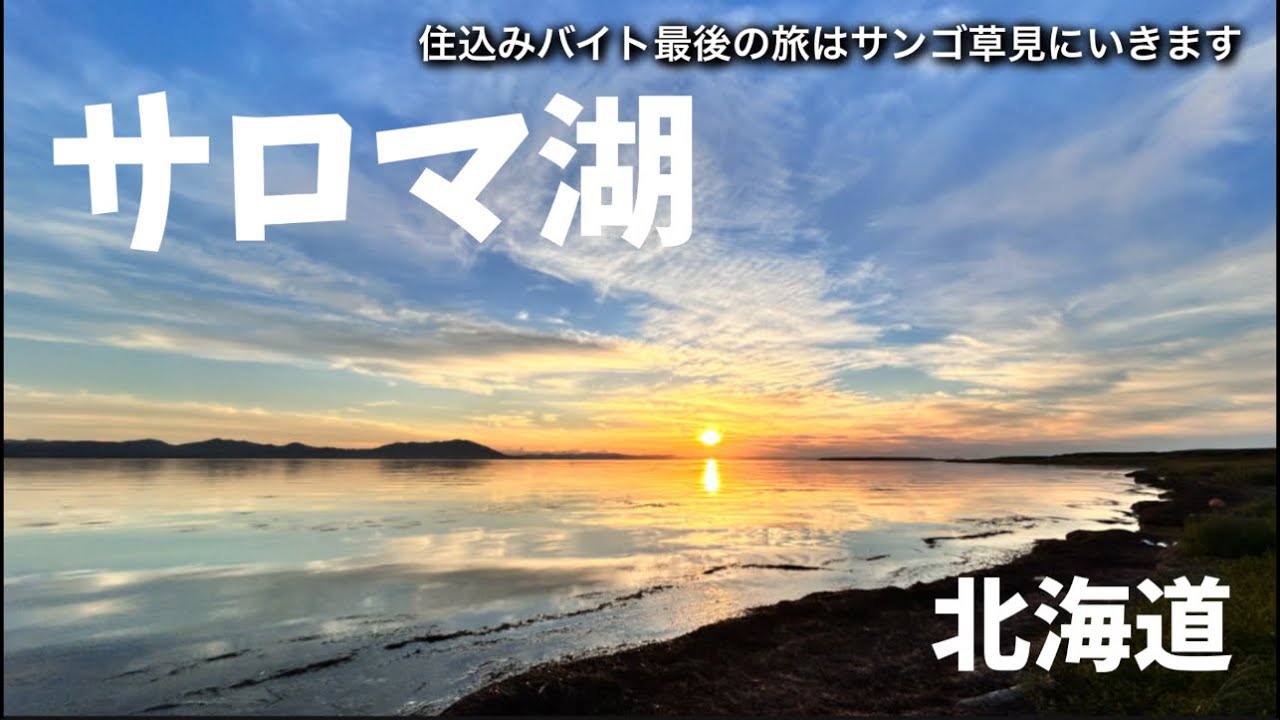 【道東】今が見頃！！サンゴ草&サロマ湖の夕陽は最高に美しかった！住込みバイト最後の旅