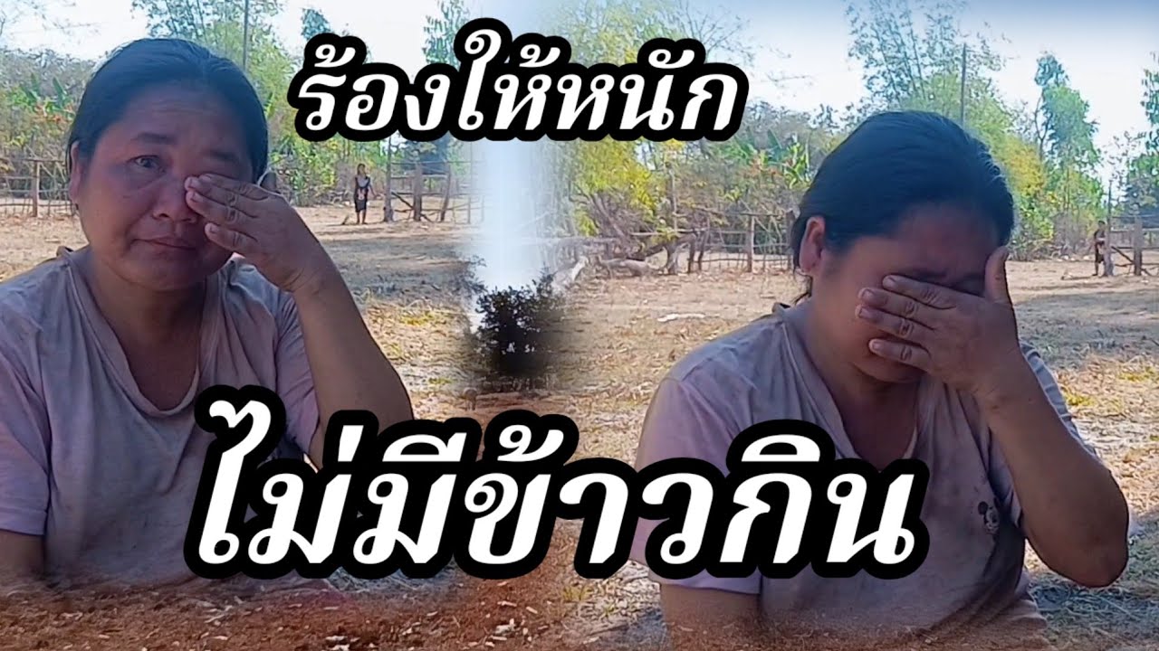น่าเวทนาเหลือเกิน ร้องไห้ไม่มีข้าวกิน 6 กุมภาพันธ์ ค.ศ. 2026