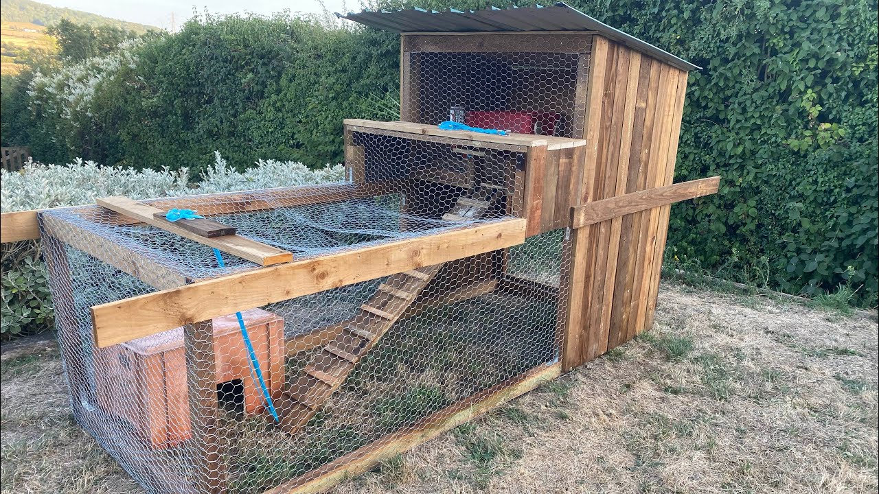 Make a Rabbit Hutch & Run