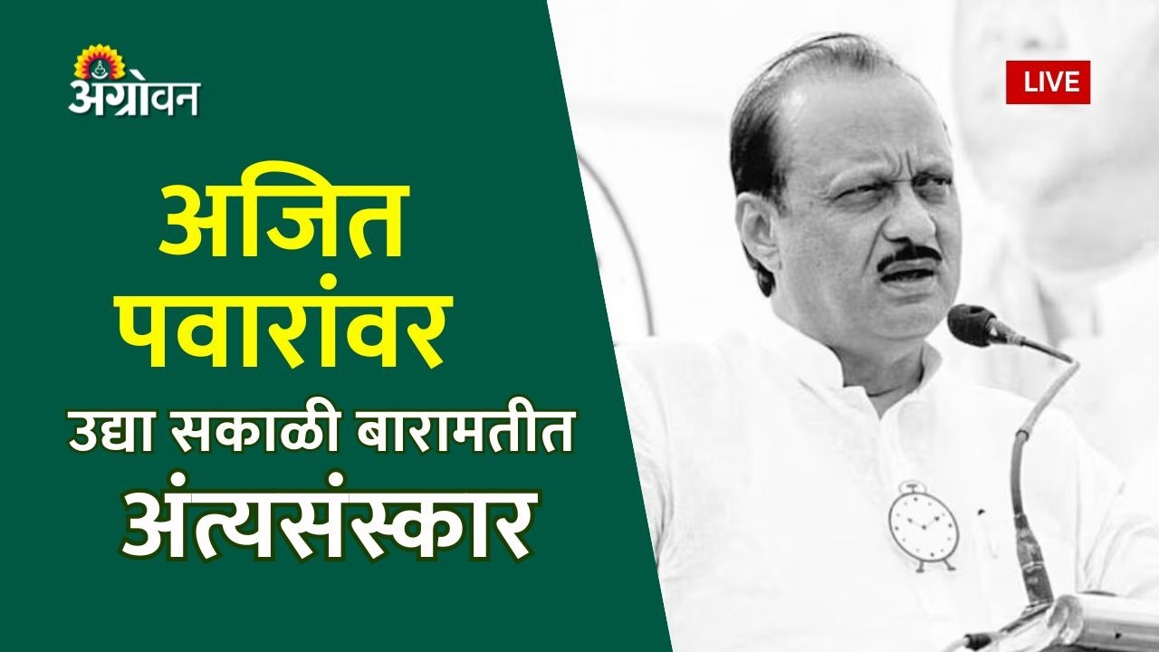 Ajit Pawar: उपमुख्यमंत्री अजित पवार यांच्या विमानाचा अपघात | Agrowon