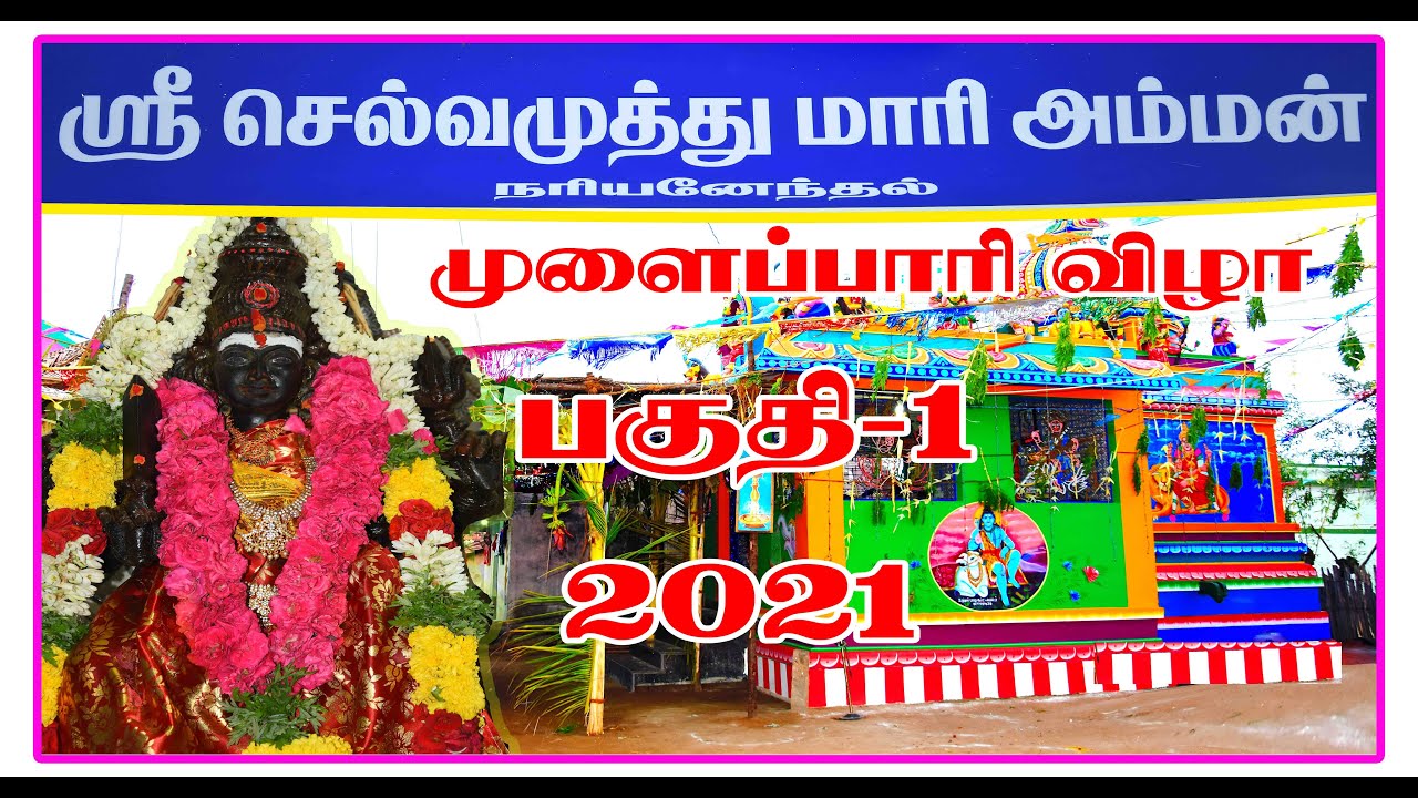 நரியனேந்தல்|செல்வமுத்து மாரியம்மன்  முளைப்பாரிவிழா பகுதி-1|  Nariyanethal Mulaipari festival part-1