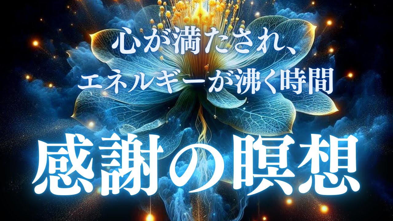 感謝の瞑想/ 日々の恵みに気付き心を満たす20分