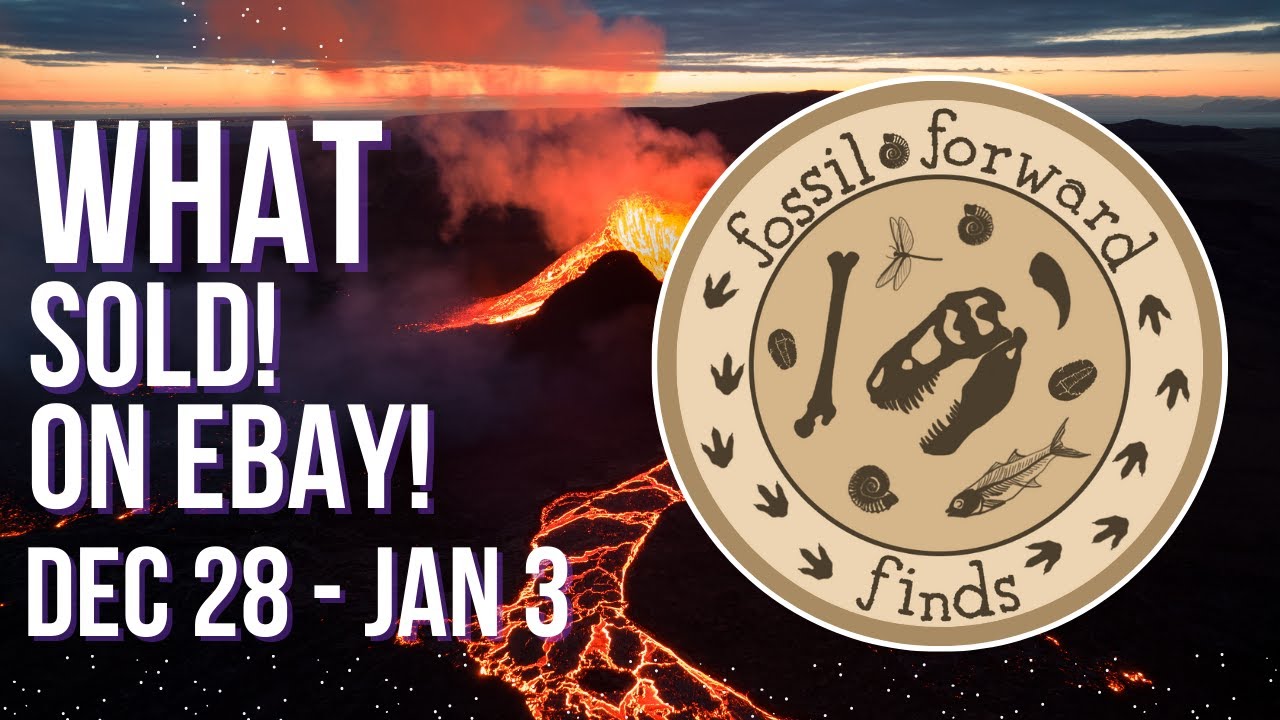 MY BEST POSTCARD SALE! - What Sold on eBay from December 28th 2025 through January 3rd 2026