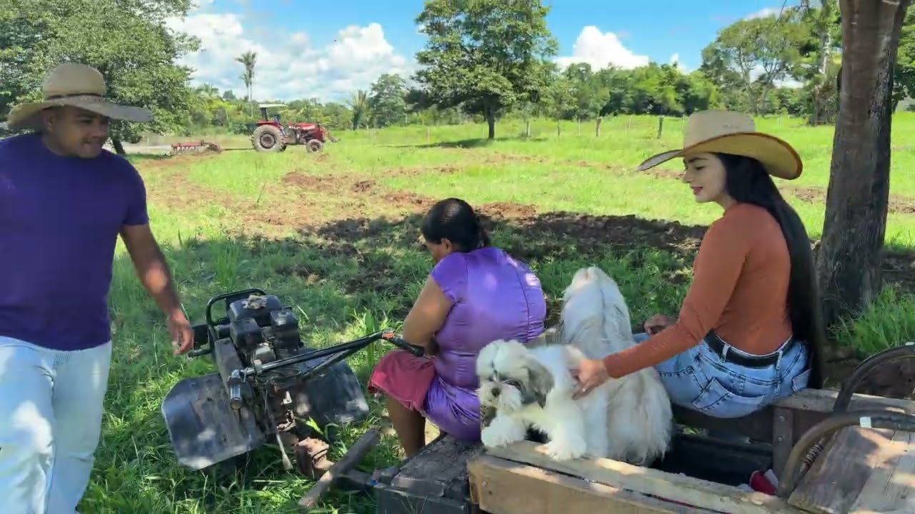 Arando a terra pra plantar Capiaçu🍃