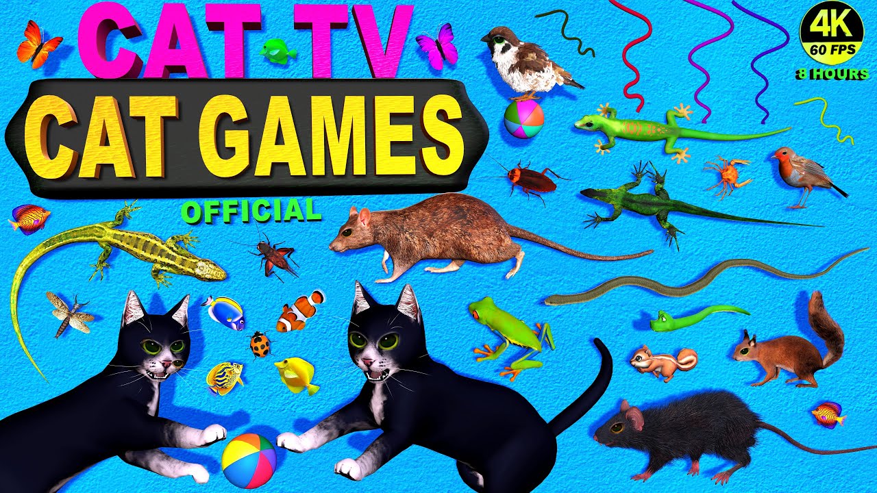 CAT GAMES OFFICIAL 🐾 | SUPER ENGAGING CAT TV COMPILATION | THE BEST VIDEOS FOR CATS 😻 | 4K 8 HOURS