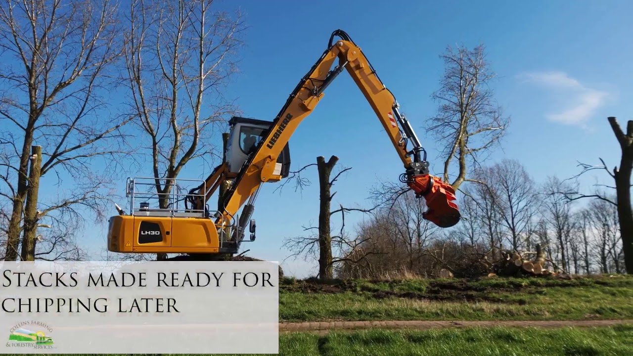 Tree Disassembly - Liebherr LH30