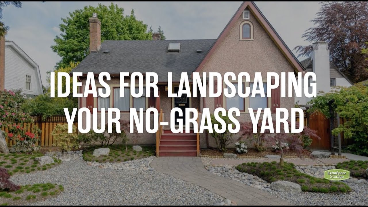 No-Grass Yard Ideas