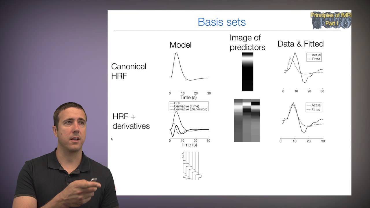 Principles of fMRI Part 1, Module 18: Model Building II – temporal basis sets