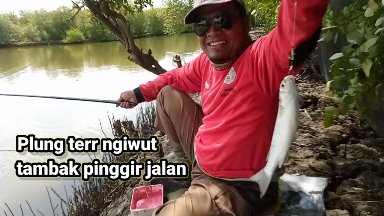 Mancing belanak pinggir jalan di tambak tambak Tapak !! mancing Semarang
