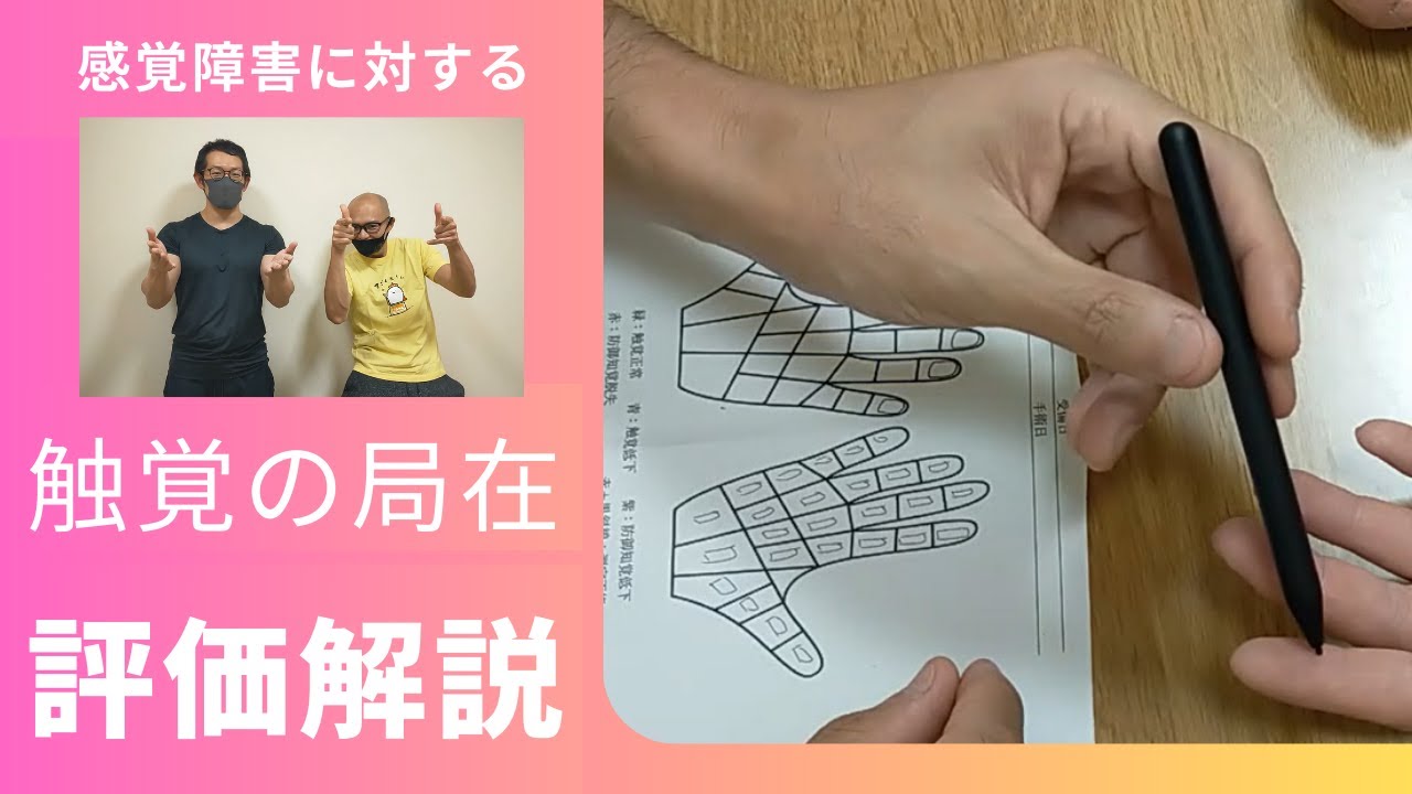 【感覚障害】触覚の局在評価