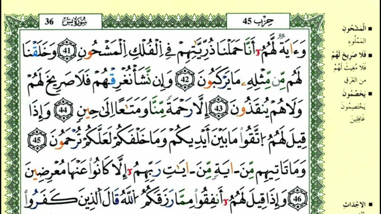 54-41: الصفحة 443 :سورة يس من الآية