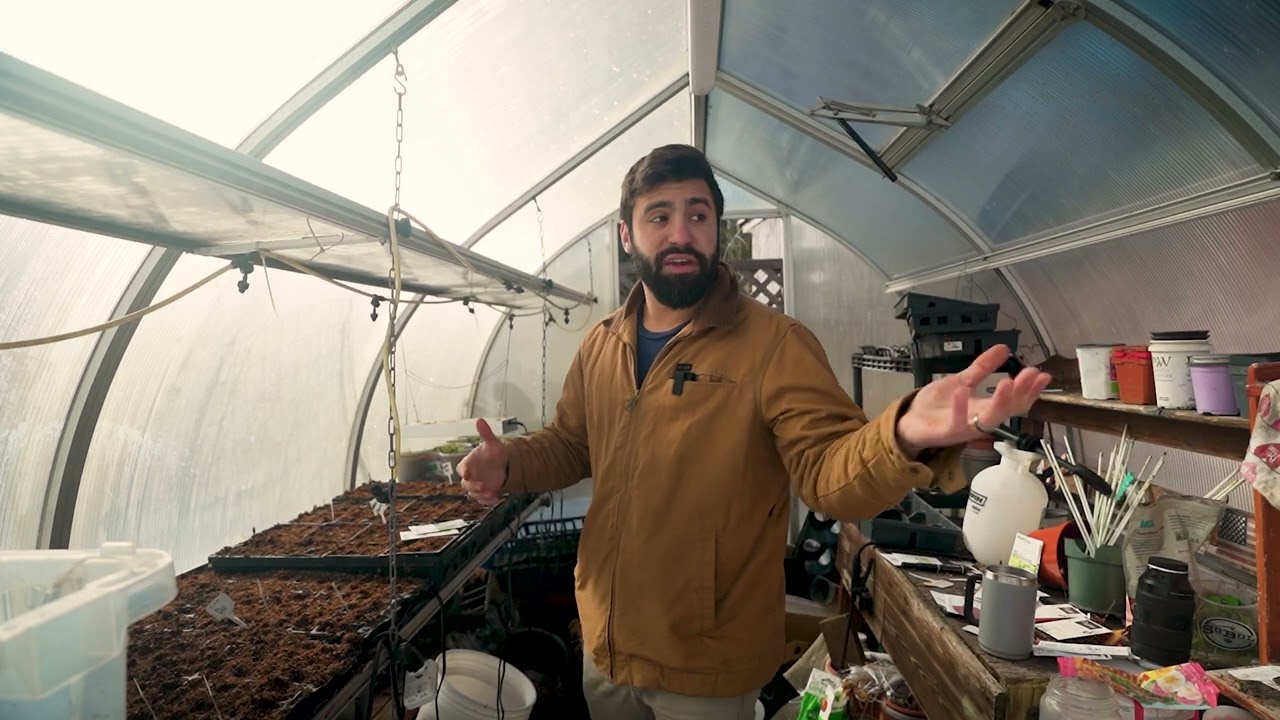 What I’m Planting in February (& Why) + Greenhouse Tips