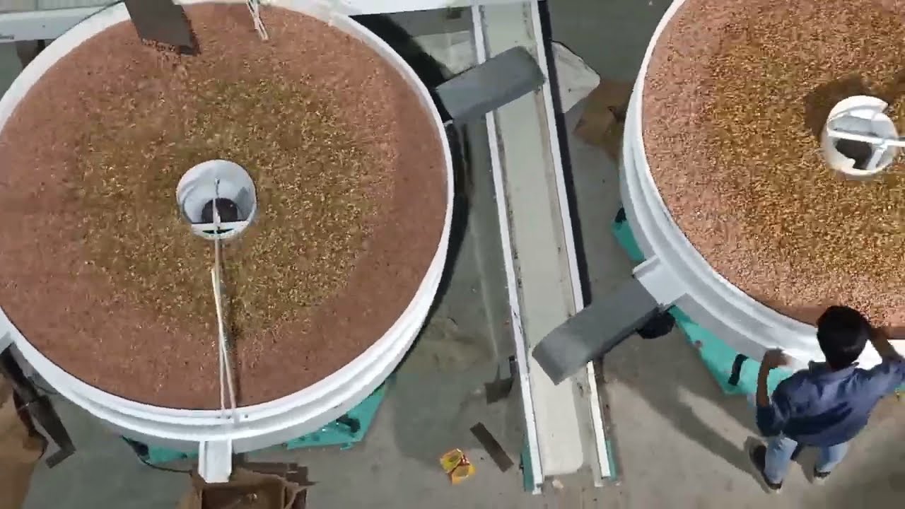 fully automatic groundnut processing plant made by perfect Technology Rajkot