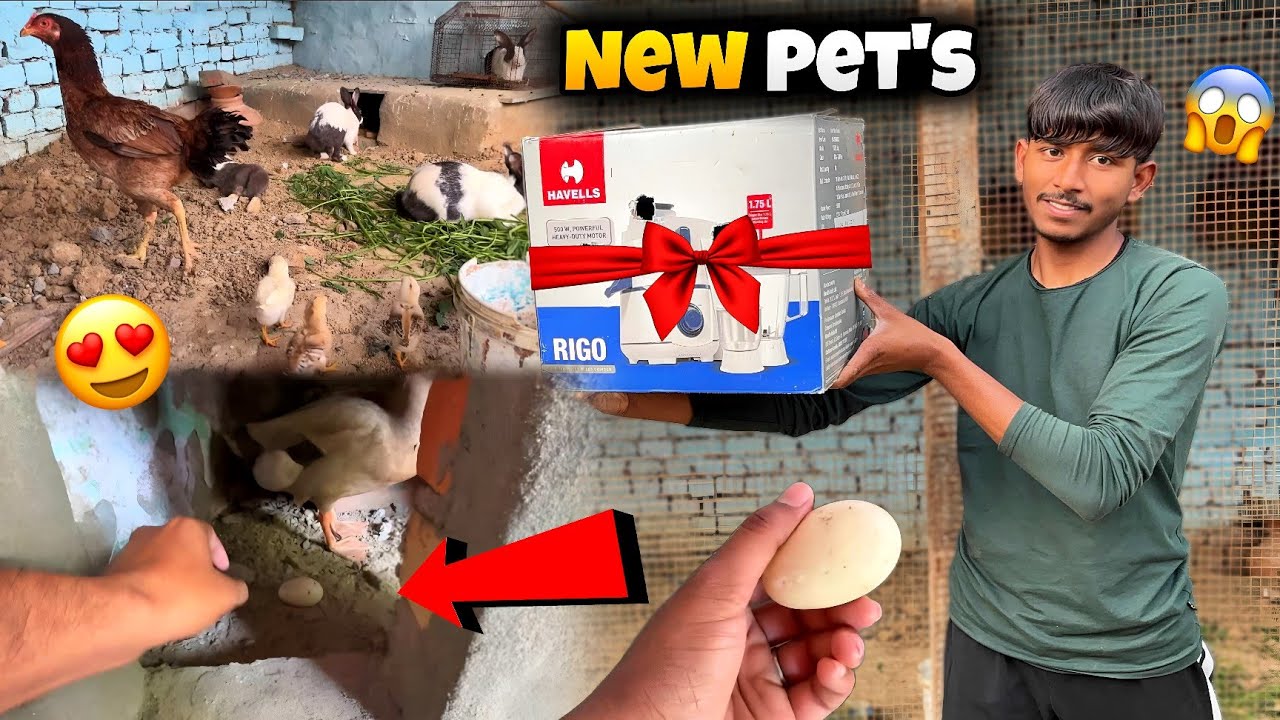 FinallY NayE PetS LE AayE 😍 