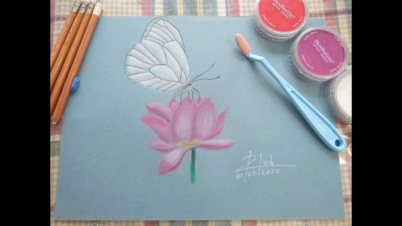 Pintar Mariposa con PanPastel Narrado Paso a Paso/ Painting butterfly