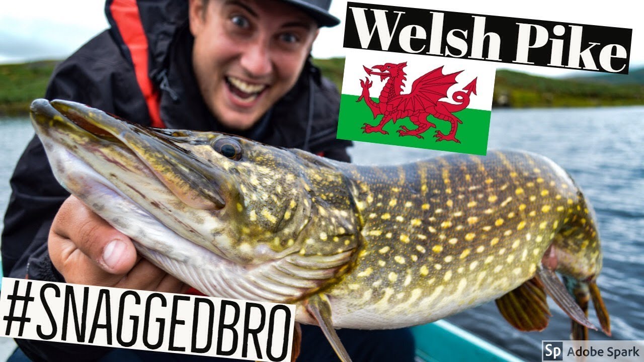 PIKE FISHING with Lures - Trawsfynydd - Wales
