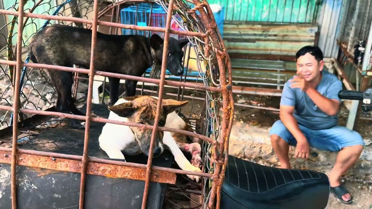 Mái ấm hhđ khóc cầu cứu cô chú ơi nhiều hoàn cảnh các bé khổ em cũng khổ
