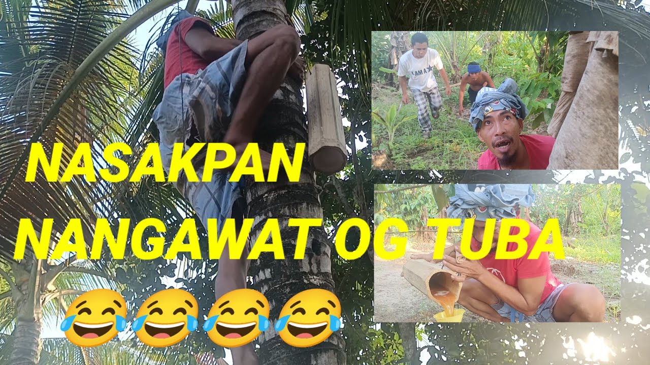 NANANGKO OG TUBA _ BISAYA COMEDY