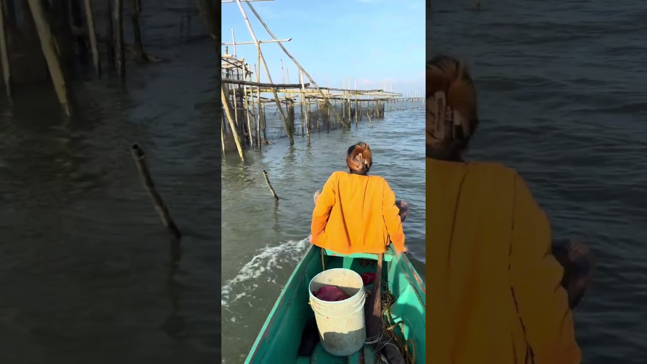 FESHING TRAP NI BOY KILAW ANG SARAP MAG KILAW FRESH SHRIMP 