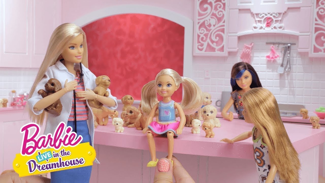 Mascotas al mayoreo | Barbie LIVE! In The Dreamhouse | Barbie Latinoamérica