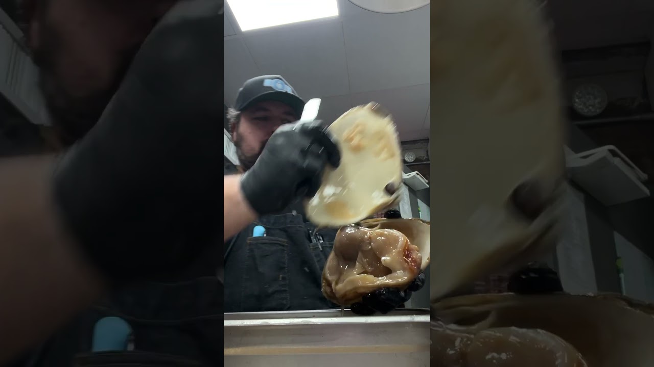 How to clean a #surfclam #shorts #fishmonger